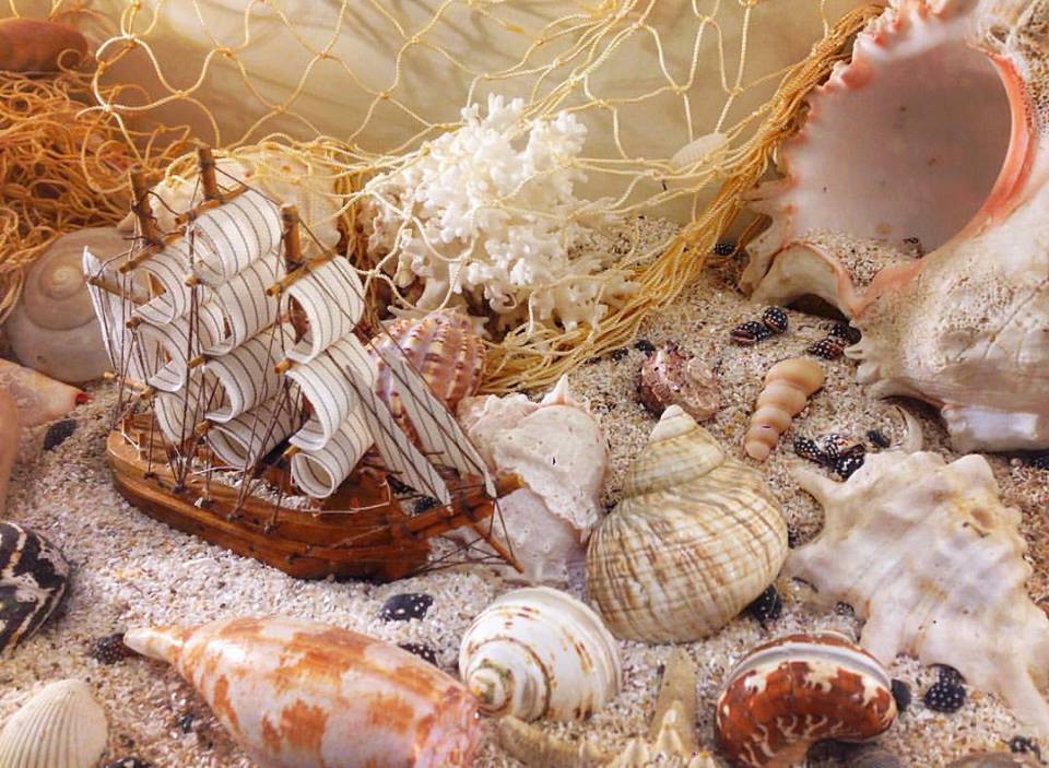 skoljke header-2